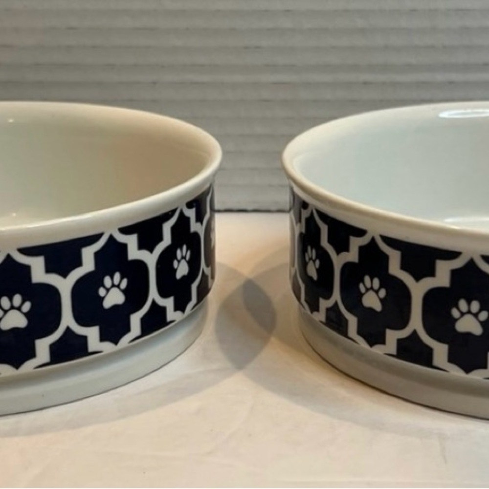 Bone Dry Ceramic Pet Feeding Dish Bowls Set of 2 Bundle